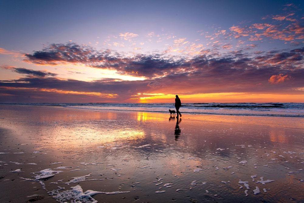 Appartement, Kaap 123 - Ameland ฮอลลุม ภายนอก รูปภาพ